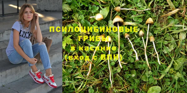 мяу мяу мука Козельск
